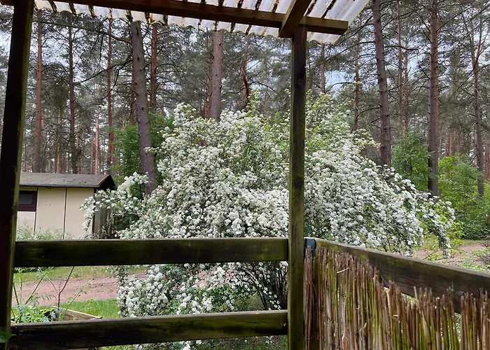 Camp Koose Ferienhaus Bad Schmiedeberg